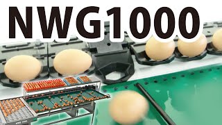 【NABEL】Weight Grader (NWG1000)