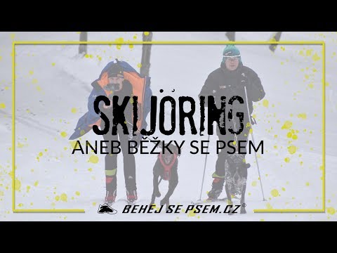 Video: Skijoring: Kombinace Běhu Na Lyžích A Psích Spřežení