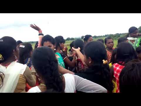 Jiyutia Dance Desi Girl Village In Odisha Sambalpuri Dance