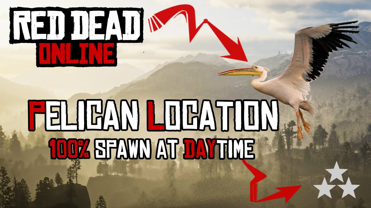 Pelican Rdr2 PELICAN LOCATION RED DEAD ONLINE (DAILY CHALLENGE) - YouTube