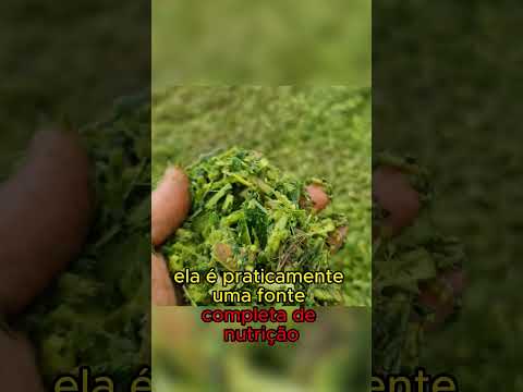 O que é