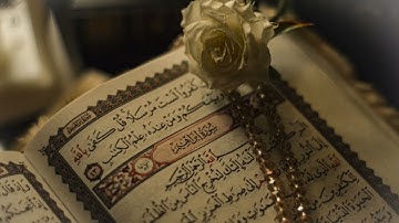 سورة إبراهيم للشيخ سعد الغامدي. Surah Ibrahim - Saad Al-Ghamdi