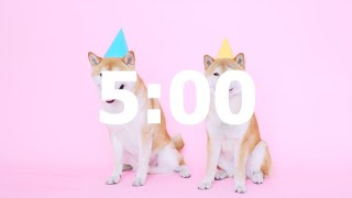 5 minute timer but with dogs