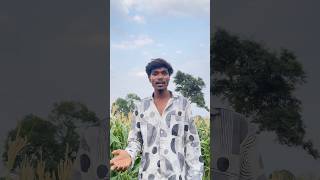Village Comedy Shorts | Makka Chori Funny Video 😂 | Desi Comedy Reel | Ayush Tirkey #shorts #comedy