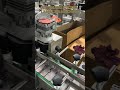 No More Wrinkles! Auto Glass Bottle Labeling Machine #Shorts #Automation