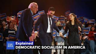 Inside the Democratic socialist wave reshaping the 2026 primaries