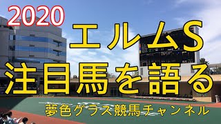 【注目馬を語る】2020エルムステークス！タイムフライヤーはトモが強くなり、いよいよダートで覚醒？