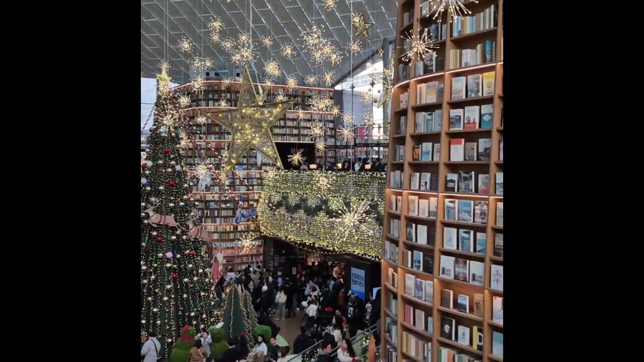 병오년 새해 첫날 코엑스 별마당도서관 풍경