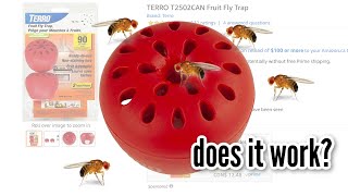 TESTING THE #1 FRUIT FLY TRAP ON  (TERRO)