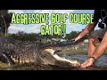 Aggressive golf course gator