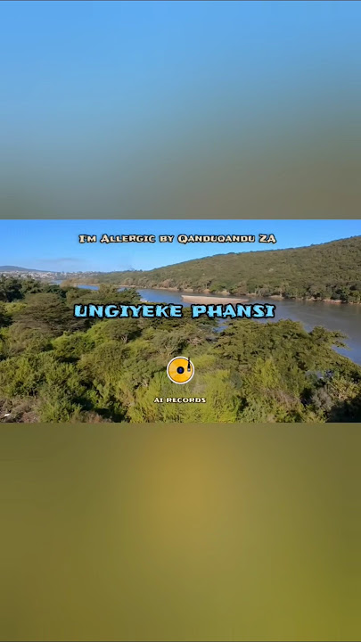 I'M ALLERGIC PART 1 (LYRICS) 🔥#maskandi #music #qanduqanduza