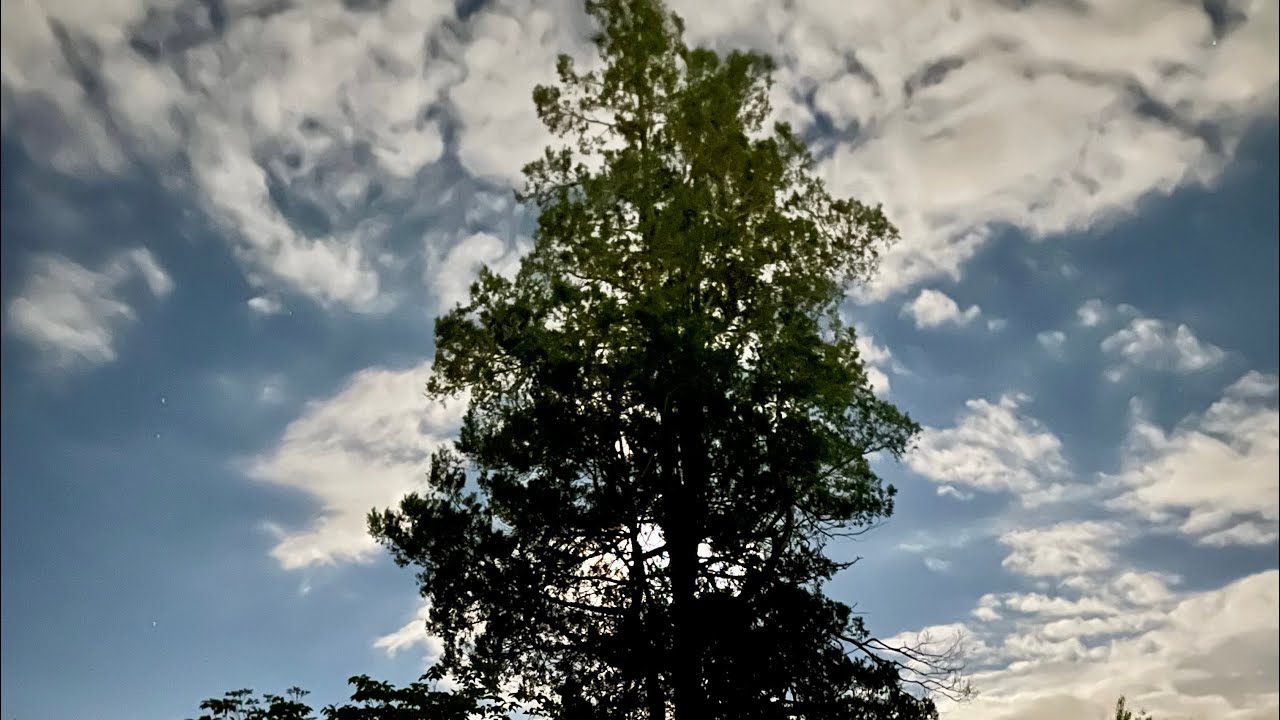 In the Pines by Lead Belly G vocal nirvana MeatPuppetsVEVO