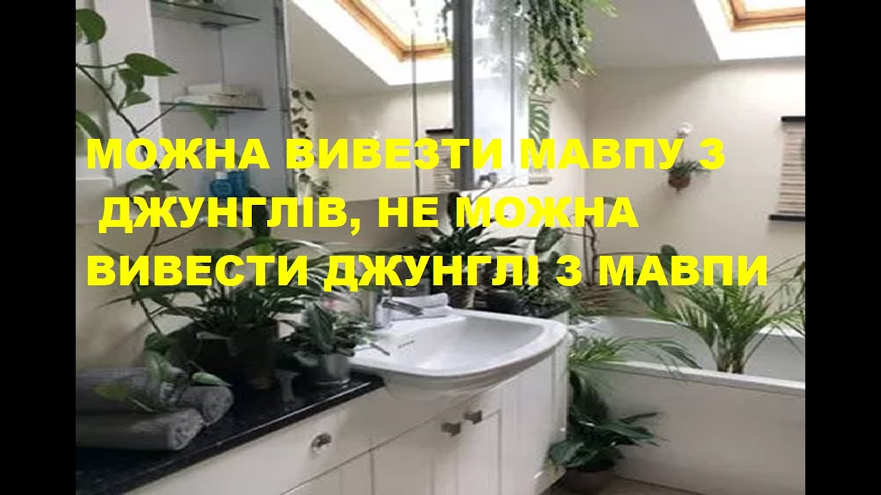 ПСИХОЛОГІЯ ЗВИЧКИ  або ДЖУНГЛІ НА ПІДВІКОННІ