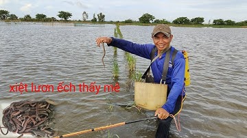 mùa nước nổi về đồng xiệt lươn ếch thấy mê trúng đậm 