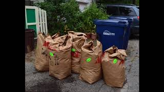 Yard Waste Pickup Services in Edinburg McAllen Valley Junk Removal