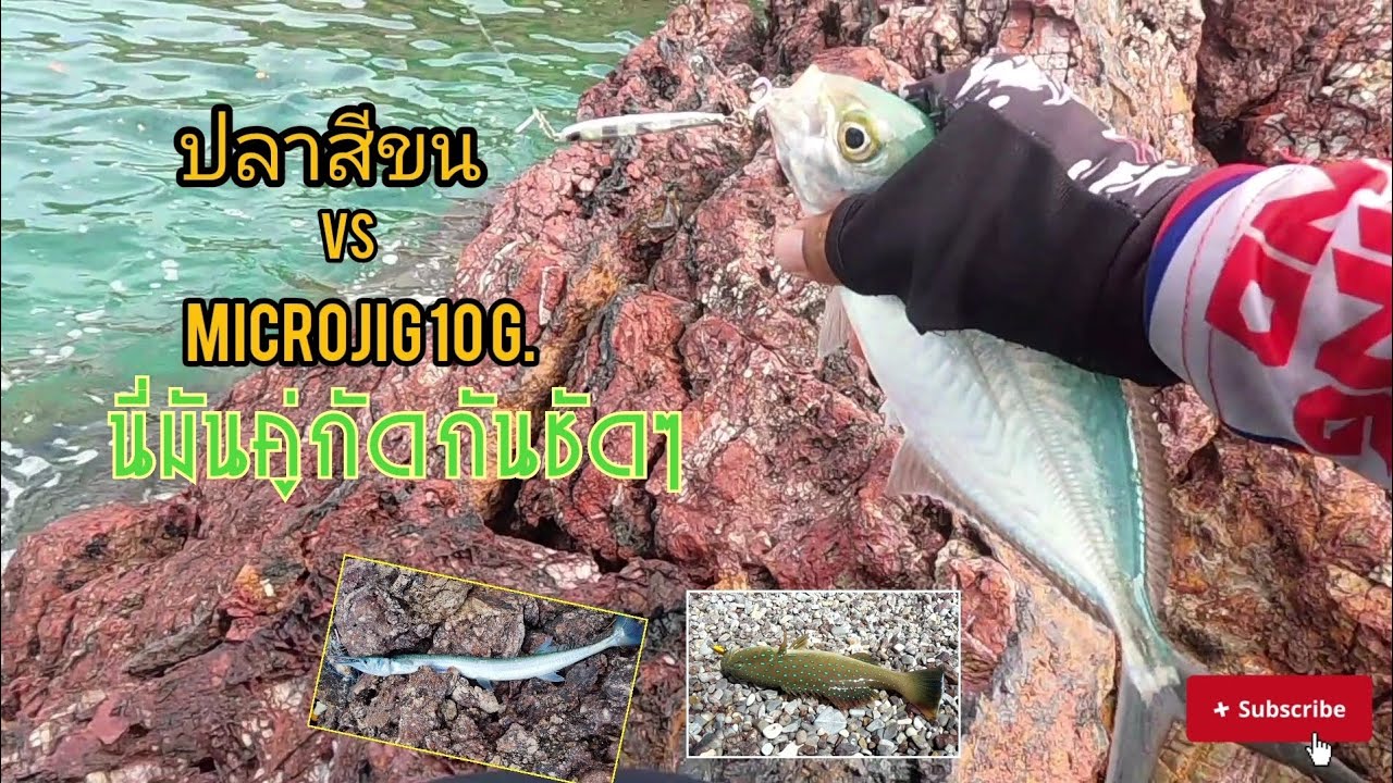 Ep19.ตกปลาที่เกาะล้าน หมายแหลมหาดนวล