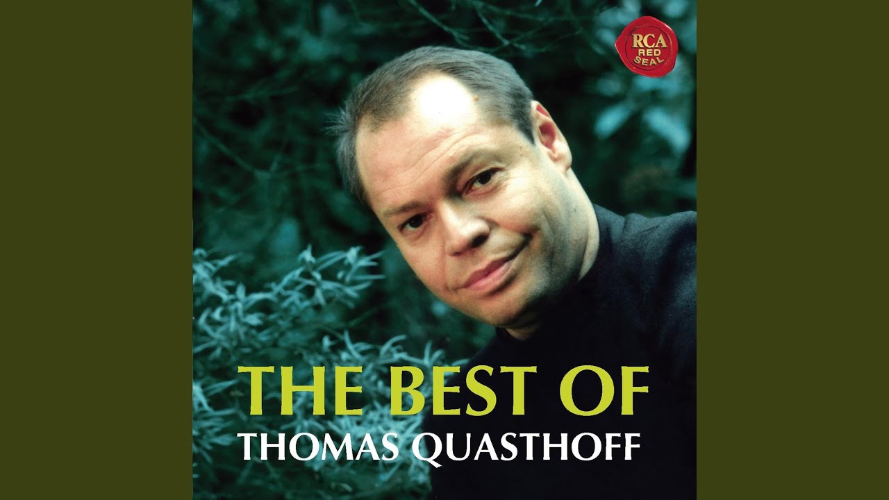 Don Giovanni, K. 527: Madamina