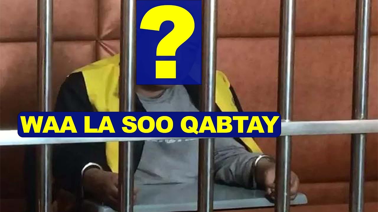 𝟏𝟏 𝐃𝐮𝐦𝐚𝐫 𝐚𝐡 𝐀𝐲𝐮𝐮 𝐃𝐢𝐥𝐚𝐲 || gao chengyong case.