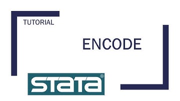 Stata: String-Variablen in numerische Variablen umwandeln (encode-Befehl)