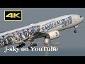 4K] Special Livery 