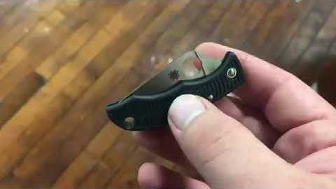 1 Minute Overview: Spyderco Ladybug in ZDP-189