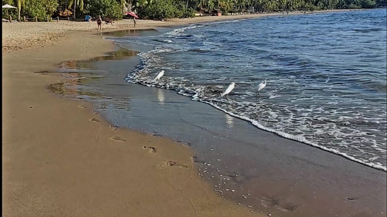 Playa quieta INCLUYENTE en ixtapa zihuatanejo♿♿🚾🦽👨‍🦯🍽🍴👩‍🦽👨‍🦽