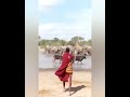 Tizama Ujasiri WA Morani WA Kimasai Wanavyopambana Na TEMBO Ili Ng Ombe Zao Wanywe Maji
