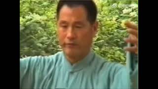 Hunyuan Bajiquan 混元八極拳- My Shifu Chen Xiang 陳項