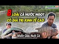 Nuôi Cá Gì Kinh Tế Cao ? | 8 Loài Cá Nước Ngọt Có Giá Trị Kinh Tế Cao Dễ Nuôi