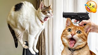 Try Not To Laugh 😂 New Funny Cats and Dogs Videos Ever 😅 #4