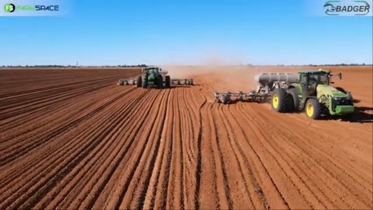 AJ se Badger planter plant nou nog vinniger en hy het 'n maatjie.