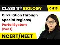 Term 2 Exam Circulation Through Special Regions/Portal System (Part 1) | Class 11 Biology/NEET-AIIMS