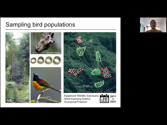 Insights from a decade of monitoring bird populations in the Eastern Himalayas - Umesh Srinivasan