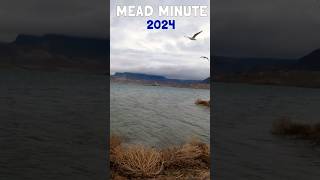 MEAD MINUTE! Water Level Update 2024 💧 Colorado River Watch #shorts #update #lakes #water #fyp