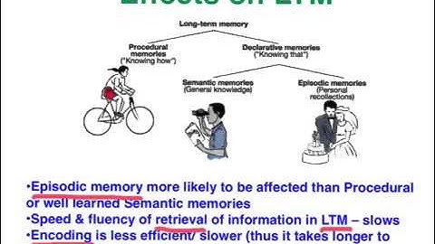 Age related memory decline - VCE Psychology