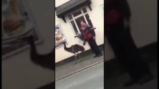 MAN WALKS HIS EMU DOWN THE STREET