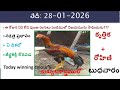28 January 2026 today winning colours/Today winning colours /vision of kukkuta sastram in colours