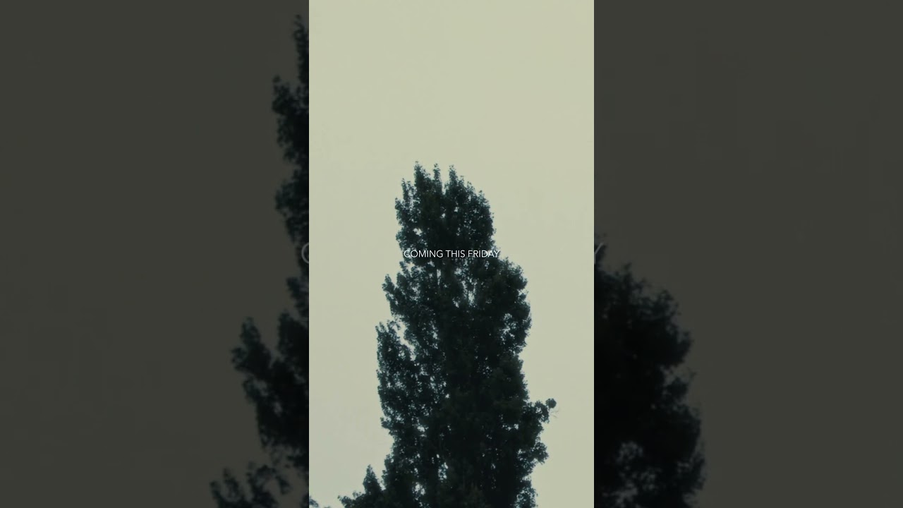 Regardez Liminal - From Echovalescence #spotify #applemusic #single #newmusicrelease #score #filmmusic sur YouTube Regardez Liminal - From Echovalescence #spotify #applemusic #single #newmusicrelease #score #filmmusic sur YouTube