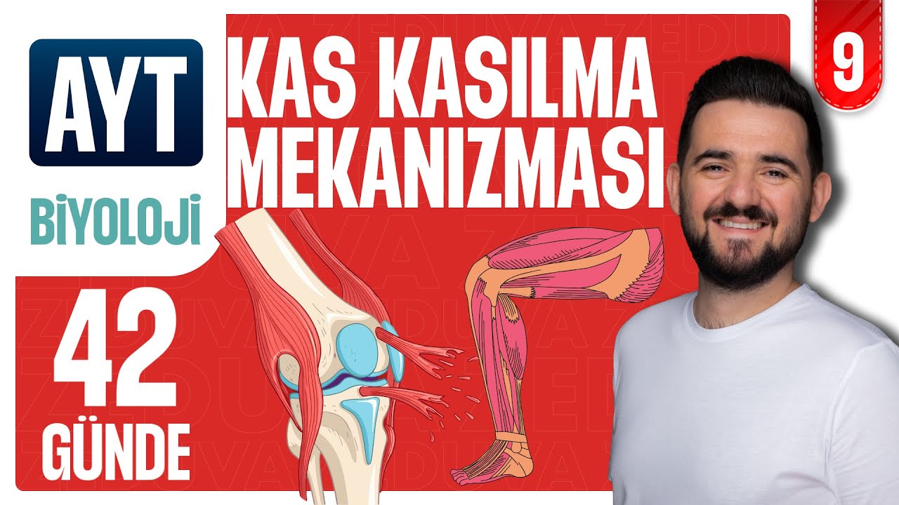 Kas Kasılması ve Genel Tekrar Soru Çözümü | 42 GÜNDE AYRINTILI AYT BİYOLOJİ KAMPI 2026-2027 | 9.GÜN