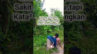 Download Lagu Nasib nasib🤭🤣 #funny #likeandsubscribe MP3
