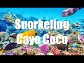 Snorkeling Cuba Cayo Coco 2019 | Jardines Del Rey