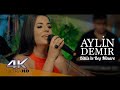 Aylin demir  bitliste be minare