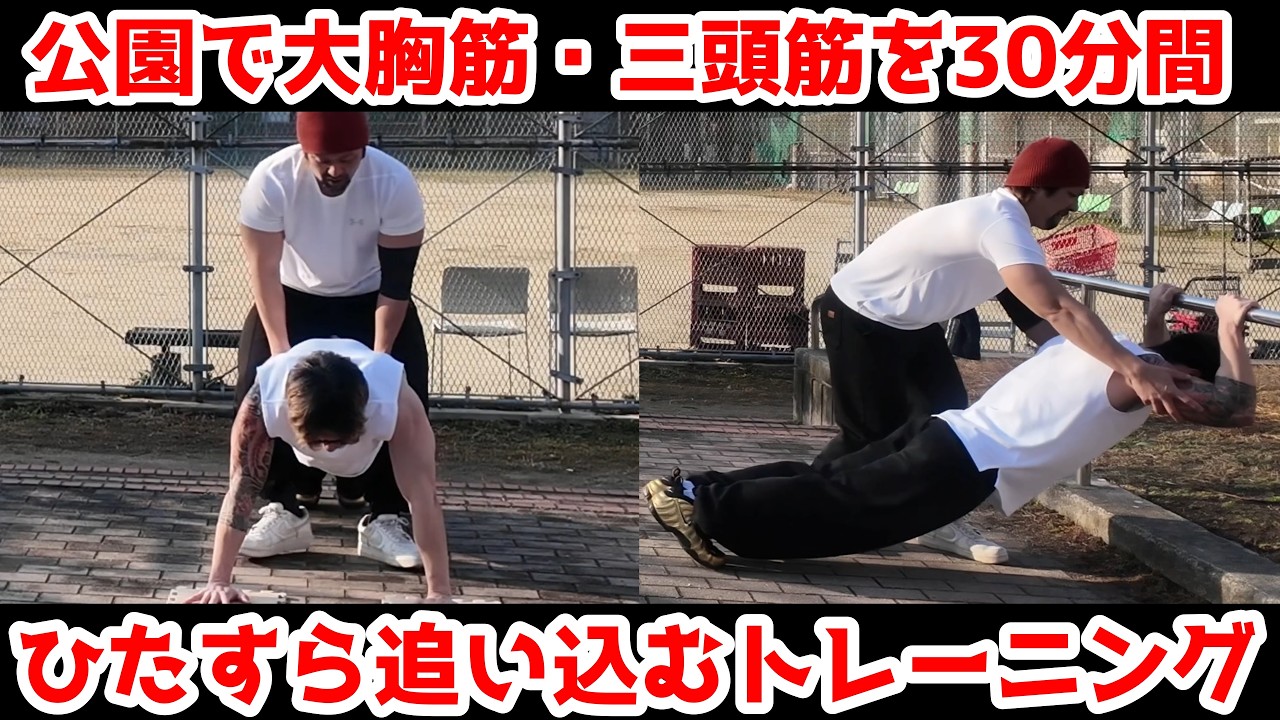 【稲田塾長再び】自重だけで腕と胸が破壊されました