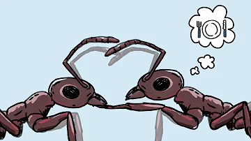 Quels sont les signaux utilisés par les fourmis pour communiquer ?