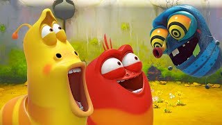 larva the stinky fly cartoons for children larva official