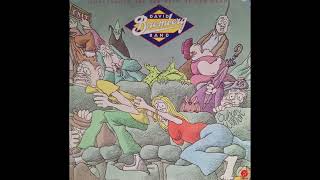 Watch David Bromberg Solid Gone video