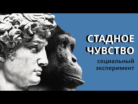 Видео: Как справиться с упрямым подростком (с иллюстрациями)