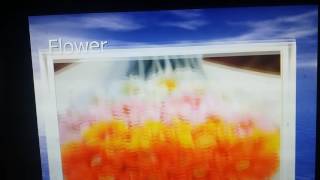 PPT ON FLOWERS