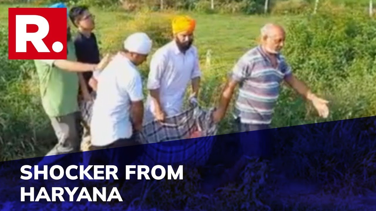 Haryana News: Woman Pushed Off Moving Train After She Resists Molestation Bid, Dies