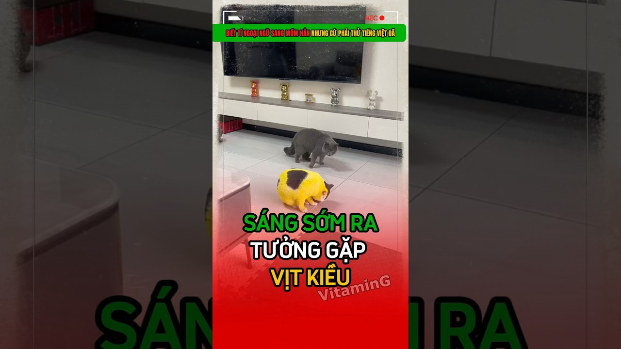 Của nợ này đâu ra 🙄🙄🙄 